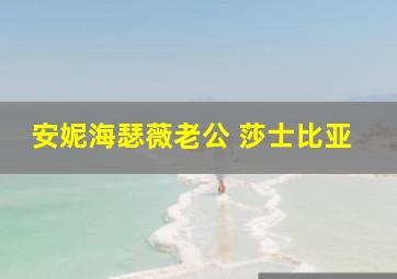 安妮海瑟薇老公 莎士比亚